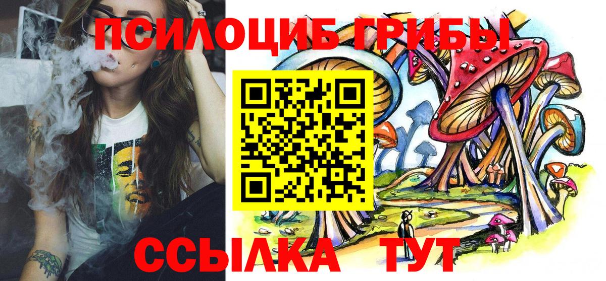 Псилоцибиновые грибы Psilocybe Можга