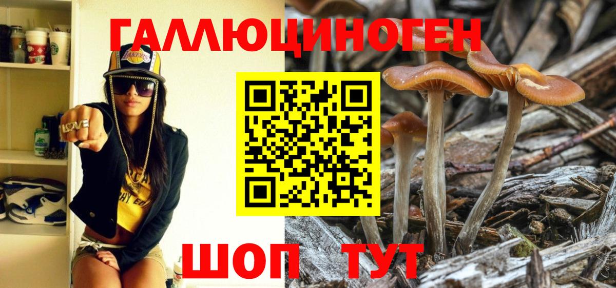 Псилоцибиновые грибы прущие грибы  Вход с VPN  Можга 