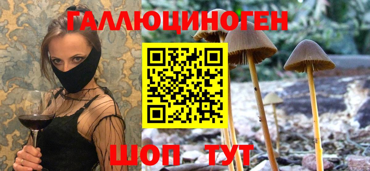 Псилоцибиновые грибы Можга